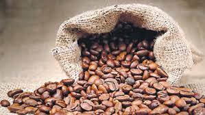 Coffee Arábico - Pur-Cafe.com